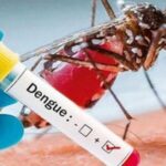 Salud declara Alerta Sanitaria por epidemia de dengue